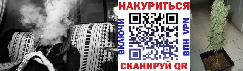 Виды наркоты Волосово СК  Конопля 