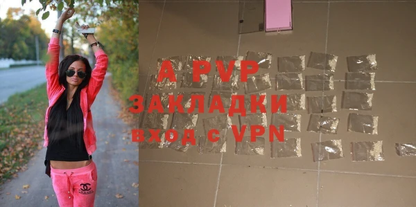 круглые Белокуриха