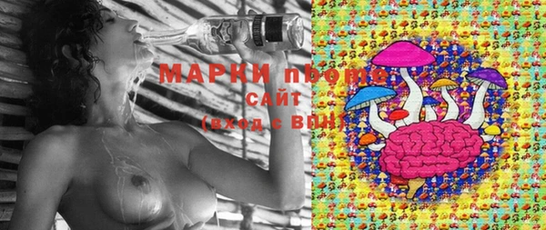 круглые Белокуриха
