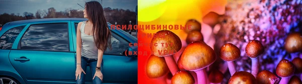 круглые Белокуриха