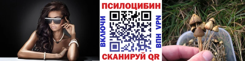 как найти наркотики  Волосово  Псилоцибиновые грибы мицелий 